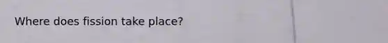 Where does fission take place?