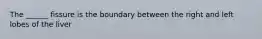 The ______ fissure is the boundary between the right and left lobes of the liver