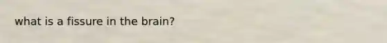 what is a fissure in the brain?
