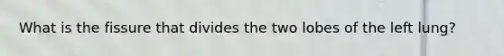 What is the fissure that divides the two lobes of the left lung?