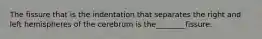 The fissure that is the indentation that separates the right and left hemispheres of the cerebrum is the________fissure.