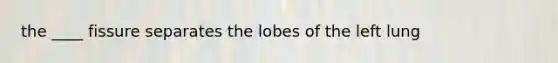 the ____ fissure separates the lobes of the left lung