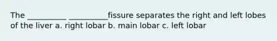 The __________ __________fissure separates the right and left lobes of the liver a. right lobar b. main lobar c. left lobar