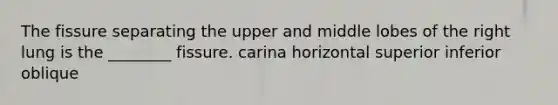 The fissure separating the upper and middle lobes of the right lung is the ________ fissure. carina horizontal superior inferior oblique