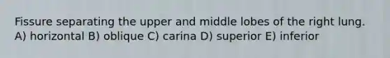 Fissure separating the upper and middle lobes of the right lung. A) horizontal B) oblique C) carina D) superior E) inferior