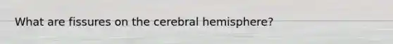 What are fissures on the cerebral hemisphere?