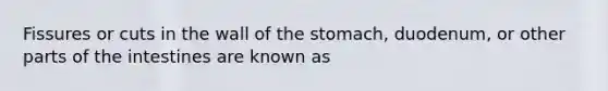 Fissures or cuts in the wall of the stomach, duodenum, or other parts of the intestines are known as