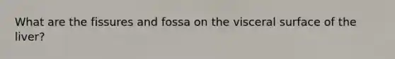 What are the fissures and fossa on the visceral surface of the liver?