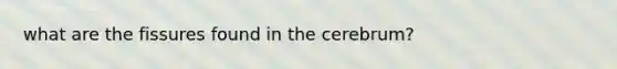 what are the fissures found in the cerebrum?