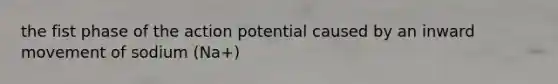 the fist phase of the action potential caused by an inward movement of sodium (Na+)