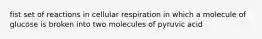 fist set of reactions in cellular respiration in which a molecule of glucose is broken into two molecules of pyruvic acid