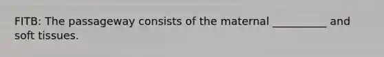 FITB: The passageway consists of the maternal __________ and soft tissues.