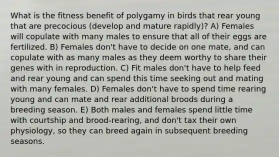 What is the fitness benefit of polygamy in birds that rear young that are precocious (develop and mature rapidly)? A) Females will copulate with many males to ensure that all of their eggs are fertilized. B) Females don't have to decide on one mate, and can copulate with as many males as they deem worthy to share their genes with in reproduction. C) Fit males don't have to help feed and rear young and can spend this time seeking out and mating with many females. D) Females don't have to spend time rearing young and can mate and rear additional broods during a breeding season. E) Both males and females spend little time with courtship and brood-rearing, and don't tax their own physiology, so they can breed again in subsequent breeding seasons.