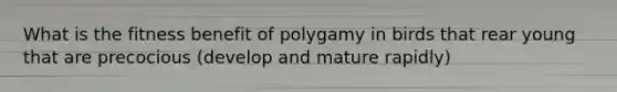 What is the fitness benefit of polygamy in birds that rear young that are precocious (develop and mature rapidly)