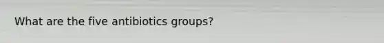 What are the five antibiotics groups?