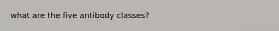 what are the five antibody classes?