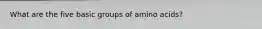 What are the five basic groups of amino acids?