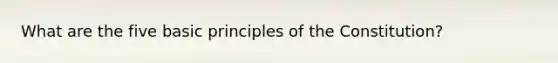 What are the five basic principles of the Constitution?