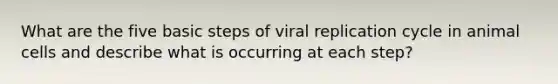 What are the five basic steps of viral replication cycle in animal cells and describe what is occurring at each step?