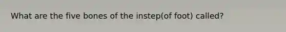 What are the five bones of the instep(of foot) called?