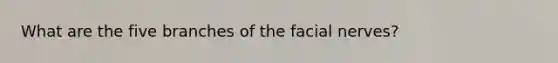 What are the five branches of the facial nerves?