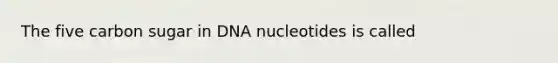 The five carbon sugar in DNA nucleotides is called