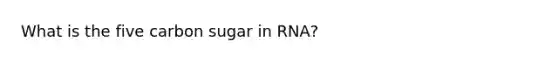 What is the five carbon sugar in RNA?