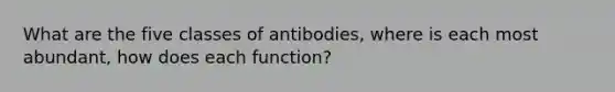 What are the five classes of antibodies, where is each most abundant, how does each function?