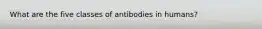 What are the five classes of antibodies in humans?