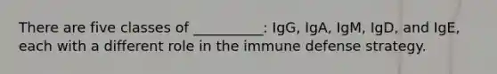 There are five classes of __________: IgG, IgA, IgM, IgD, and IgE, each with a different role in the immune defense strategy.