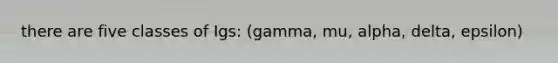 there are five classes of Igs: (gamma, mu, alpha, delta, epsilon)