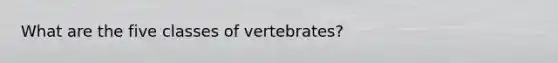 What are the five classes of vertebrates?