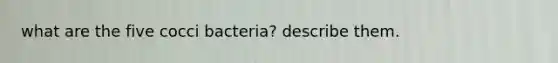 what are the five cocci bacteria? describe them.