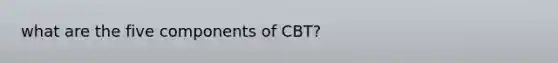 what are the five components of CBT?