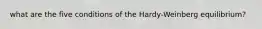 what are the five conditions of the Hardy-Weinberg equilibrium?