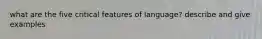what are the five critical features of language? describe and give examples