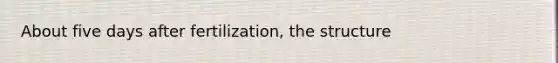 About five days after fertilization, the structure
