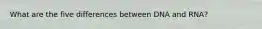 What are the five differences between DNA and RNA?