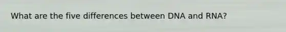 What are the five differences between DNA and RNA?