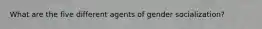 What are the five different agents of gender socialization?