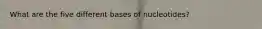 What are the five different bases of nucleotides?