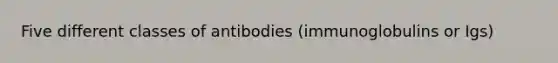 Five different classes of antibodies (immunoglobulins or Igs)