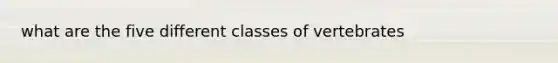 what are the five different classes of vertebrates