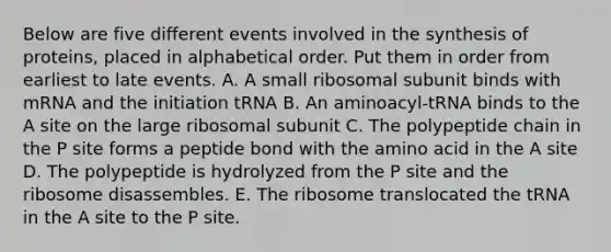 Below are five different events involved in the synthesis of proteins, placed in alphabetical order. Put them in order from earliest to late events. A. A small ribosomal subunit binds with mRNA and the initiation tRNA B. An aminoacyl-tRNA binds to the A site on the large ribosomal subunit C. The polypeptide chain in the P site forms a peptide bond with the amino acid in the A site D. The polypeptide is hydrolyzed from the P site and the ribosome disassembles. E. The ribosome translocated the tRNA in the A site to the P site.