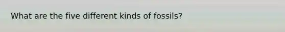 What are the five different kinds of fossils?