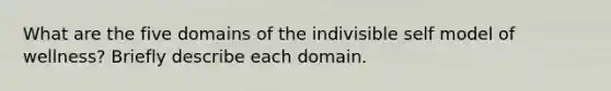 What are the five domains of the indivisible self model of wellness? Briefly describe each domain.