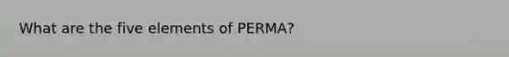 What are the five elements of PERMA?