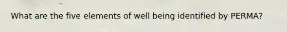 What are the five elements of well being identified by PERMA?