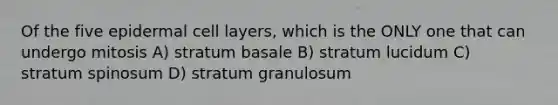 Of the five epidermal cell layers, which is the ONLY one that can undergo mitosis A) stratum basale B) stratum lucidum C) stratum spinosum D) stratum granulosum