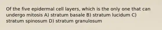 Of the five epidermal cell layers, which is the only one that can undergo mitosis A) stratum basale B) stratum lucidum C) stratum spinosum D) stratum granulosum